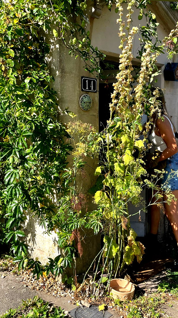 mollieruck instagram image archive image