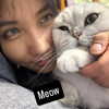 mrspig96 Altpins Profile Picture
