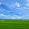 kteaworld Altpins Profile Picture