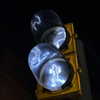 gissell_eli Altpins Profile Picture
