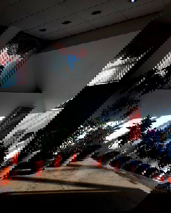 kkulakovaa image ~ Altpins