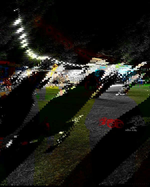 jtilb2 image ~ Altpins