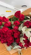shira_adar_ Altpins Profile Picture