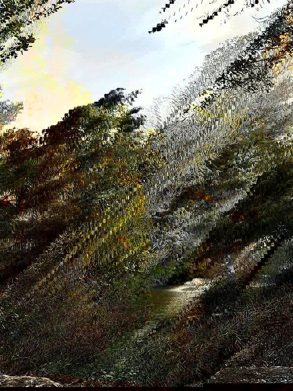 strawberryshanz strawberryshanz archive image