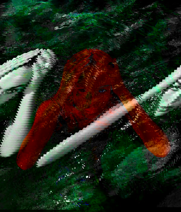 taylor.creeden taylor.creeden archive image