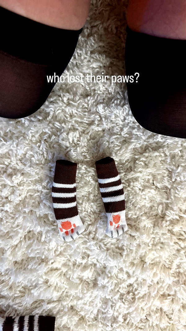 mollycodlee instagram image archive image