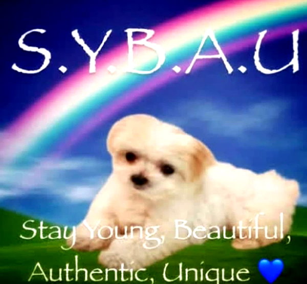 rixiadigivolved instagram image archive image