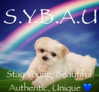 rixiadigivolved Altpins Profile Picture