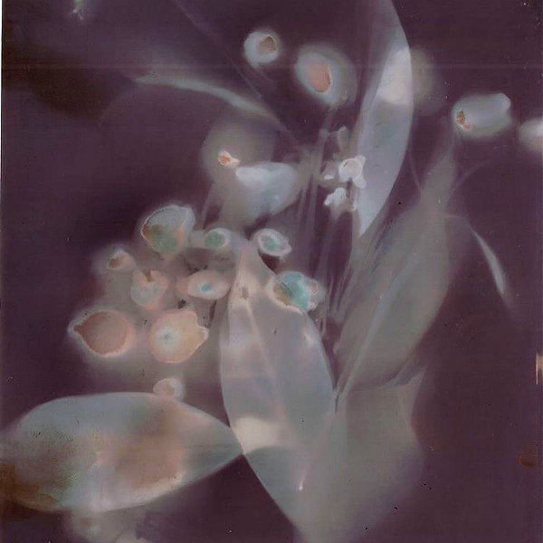 leanxhrt instagram image archive image
