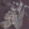 leanxhrt Altpins Profile Picture