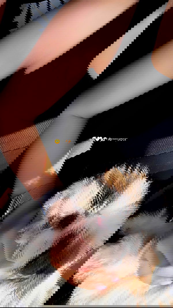 noammalka___ noammalka___ archive image