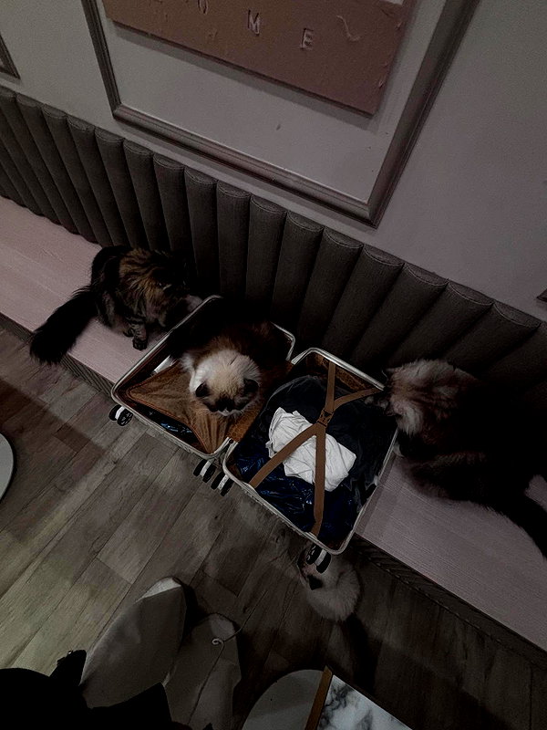 e.shao_417 instagram image archive image