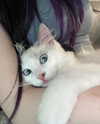 yuna_1_27 Altpins Profile Picture