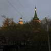 lalytoples Altpins Profile Picture