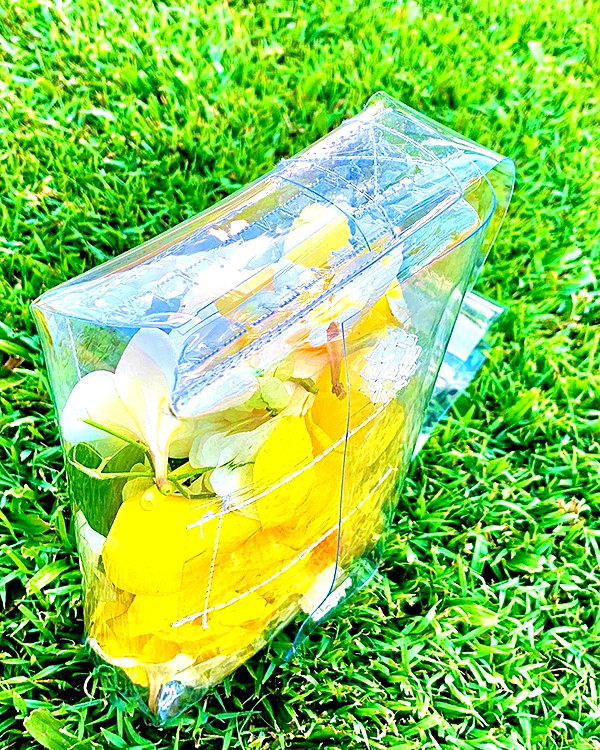 gisellelee8 instagram image archive image