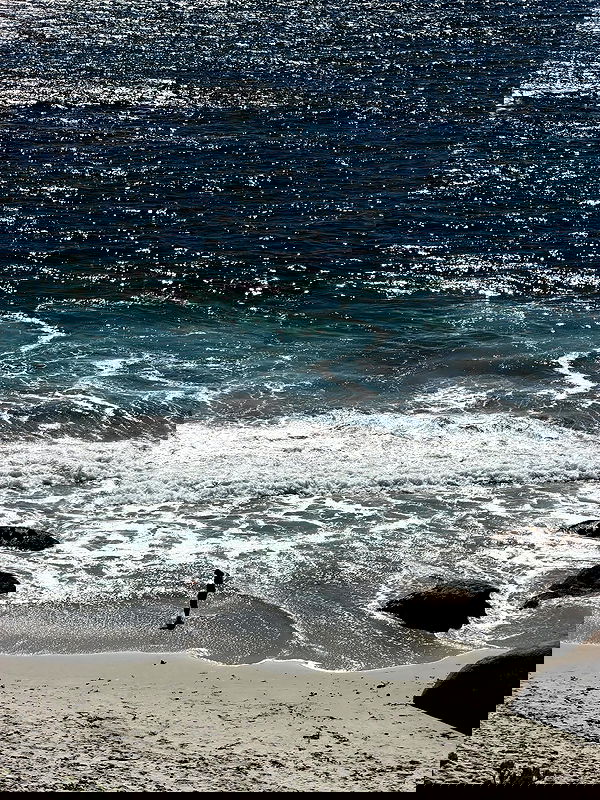 taylor.creeden taylor.creeden archive image