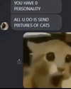 catl0verr69 Altpins Profile Picture