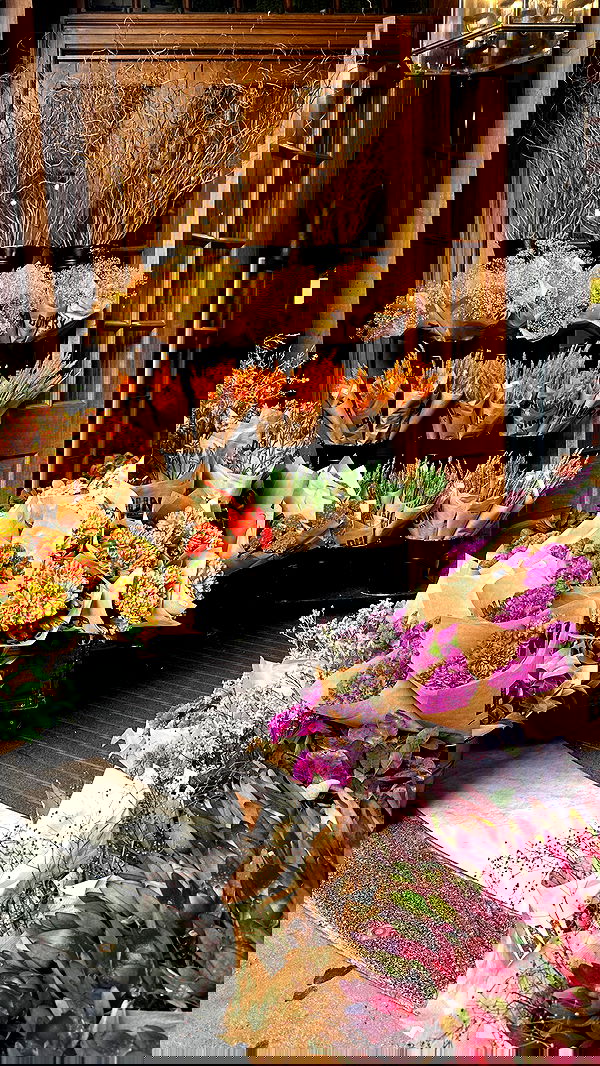 taylor.creeden taylor.creeden archive image