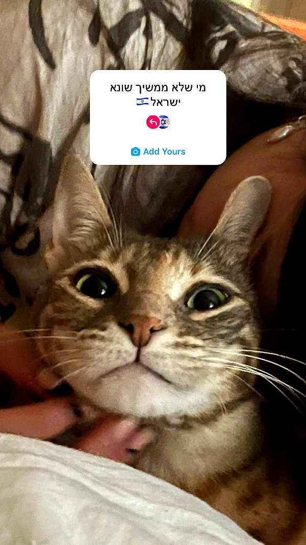 Archived image from @notchicore on Instagram