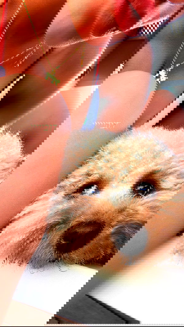 larin_manor1 larin_manor1 archive image