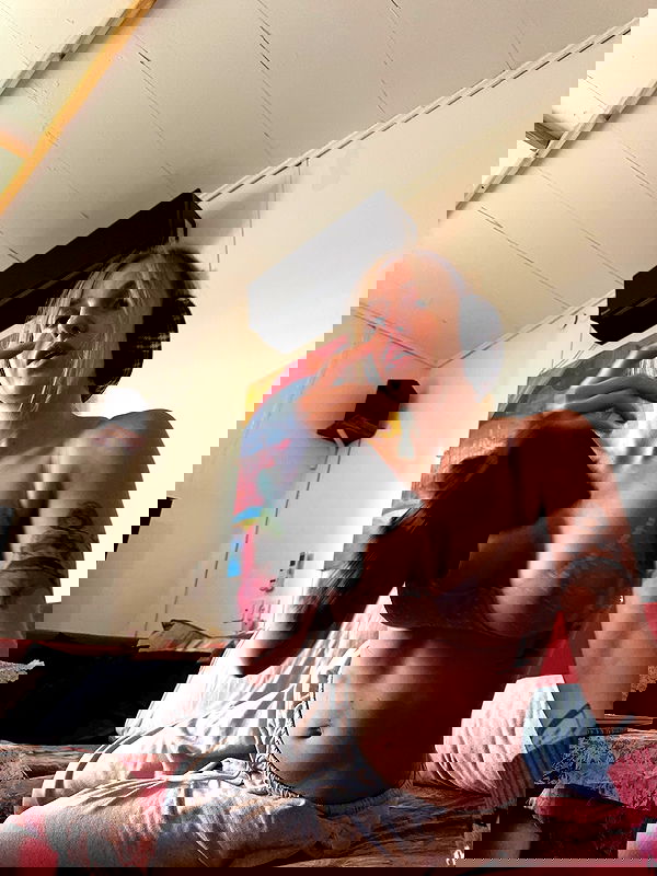 iambohema.v2 iambohema.v2 archive image