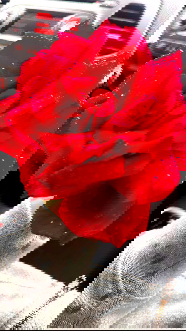 romy_ayalla_lavi romy_ayalla_lavi archive image