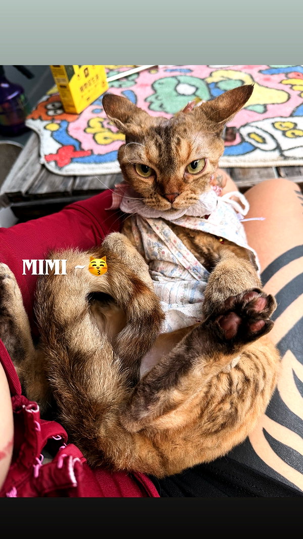 darkstar_mia instagram image archive image