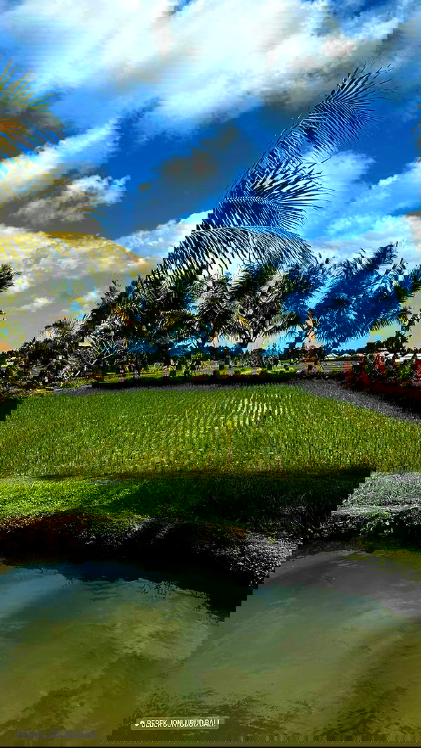 taylor.creeden taylor.creeden archive image