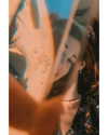 bensalma4 Altpins Profile Picture