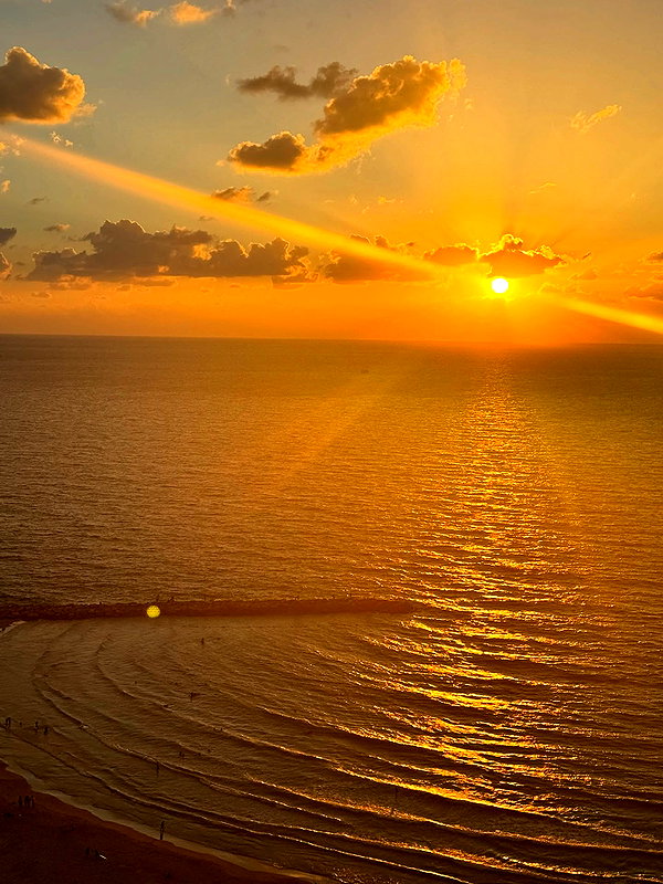 tirtza_cohen instagram image archive image