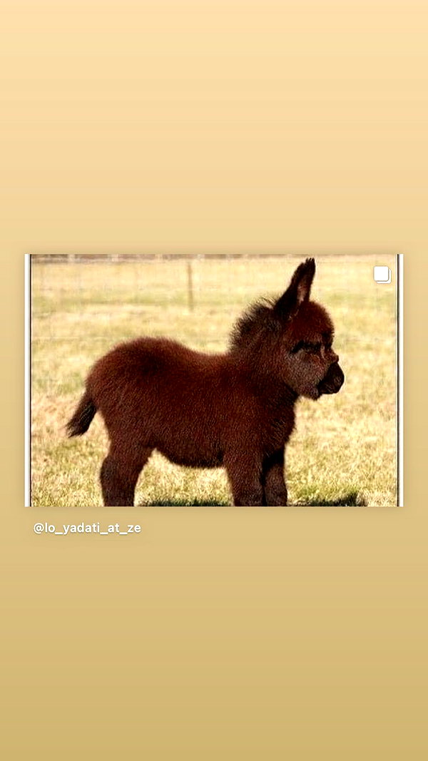 babynympho_archive instagram image archive image