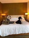 fair_mua Altpins Profile Picture