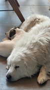 analuvillarreal Altpins Profile Picture
