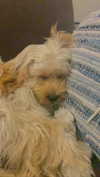 hadas_mayer_ Altpins Profile Picture