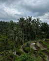 daryanedarya Altpins Profile Picture