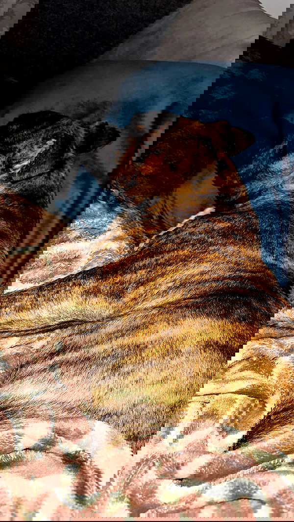 michelleloven_ michelleloven_ archive image