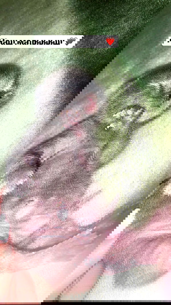 nyityam nyityam archive image