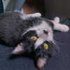 yuna_1_27 Altpins Profile Picture