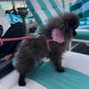 mariagabrielasantos Altpins Profile Picture
