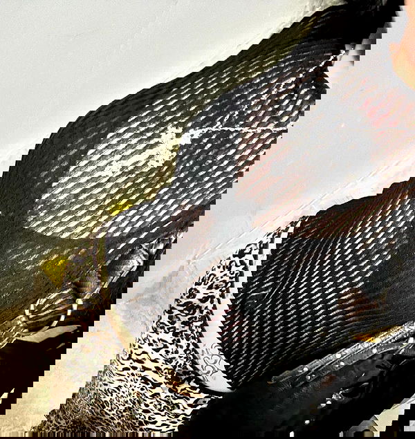 jtilb2 image ~ Altpins