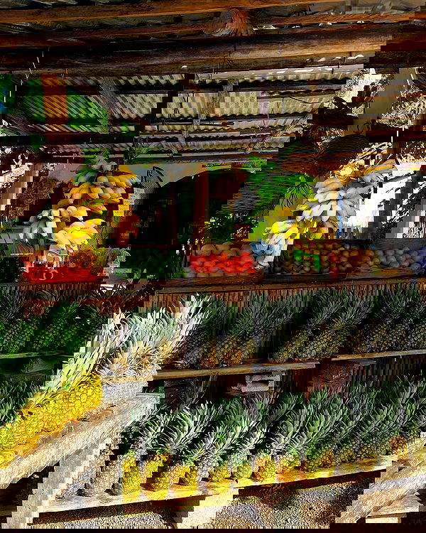 manjolamuriqi manjolamuriqi archive image