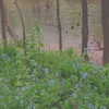 44cbrloveletter Altpins Profile Picture