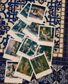 jasminxie2 Altpins Profile Picture