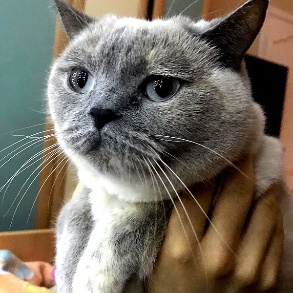 owlydiaa instagram image archive image