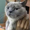 owlydiaa Altpins Profile Picture