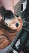 analuvillarreal Altpins Profile Picture