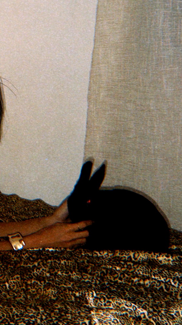 efrat_elmalich efrat_elmalich archive image
