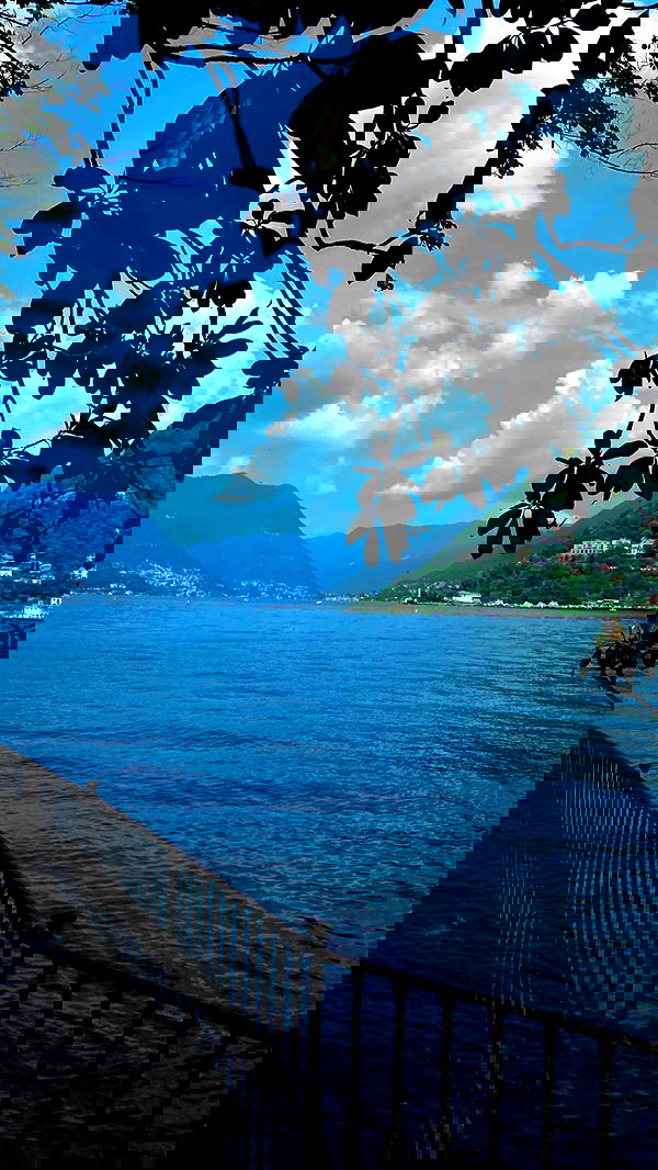 taylor.creeden taylor.creeden archive image