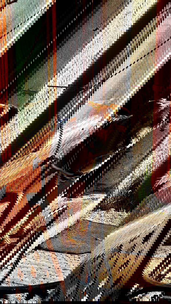 manjolamuriqi manjolamuriqi archive image