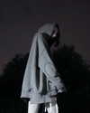 amanitalis Altpins Profile Picture